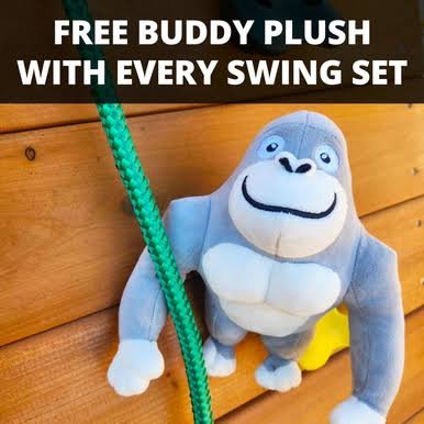 Gorilla Playsets Pioneer Peak Swing Set