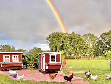 OverEZ Chicken Medium Chicken Coop - Up to 10 Chickens