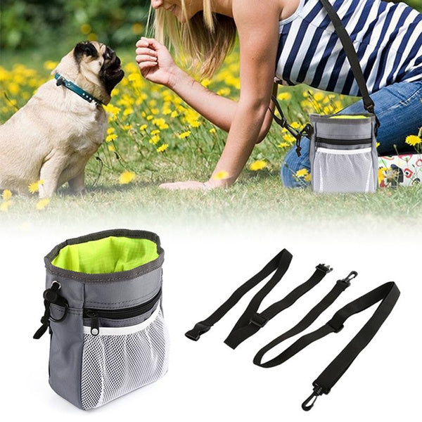 Dog Training Travel Pouch