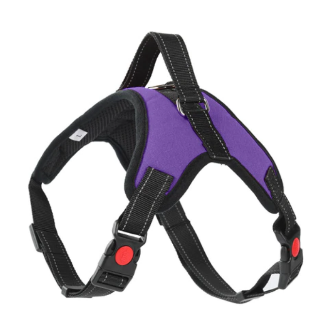 Soft Adjustable Dog Harness